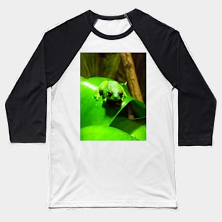 Red-eyed Tree Frog Baseball T-Shirt